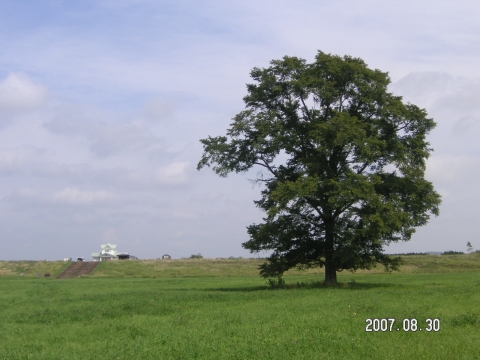 s_PICT0558.jpg